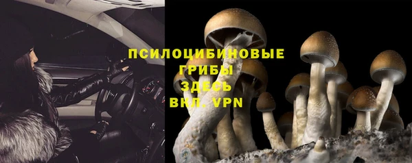 а пвп мука Баксан